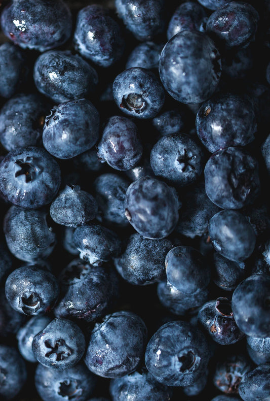 Blaubeere